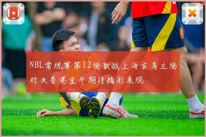 NBL常规赛第12场激战上海玄鸟主场对决香港金牛期待精彩表现