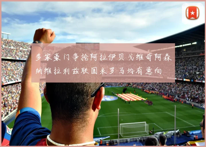 多家豪门争抢阿拉伊贝戈维奇阿森纳维拉利兹联国米罗马均有意向
