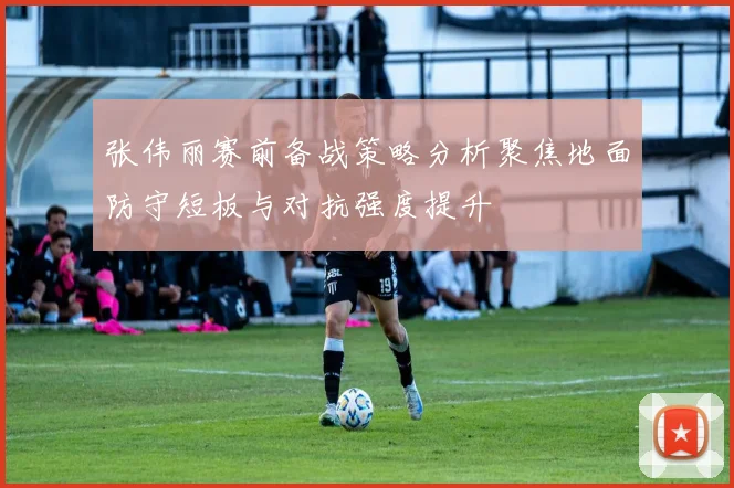 张伟丽赛前备战策略分析聚焦地面防守短板与对抗强度提升
